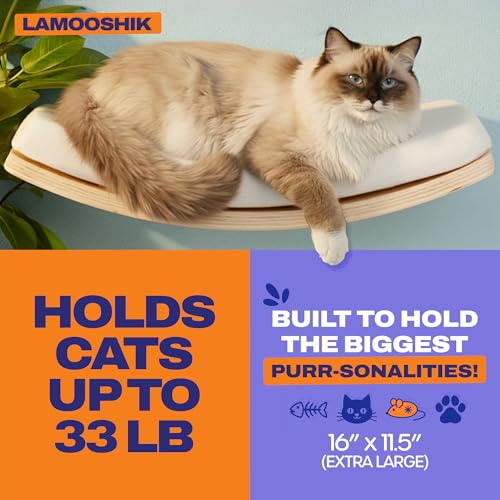 Cat Wall Shelves, Natural Floating Cat Furniture with Bed & Steps - color: Natural