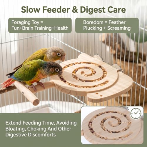 Foraging Toys for Birds Bird Foraging Toys with Perch to Reduce Seed Mess