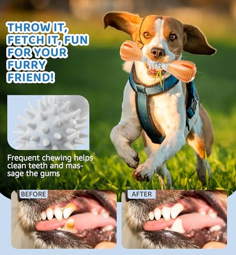 Durable Dog Chew Toy, Natural Rubber Treat Dispensing Puzzle Toy for Small & Medium Breeds – Interactive Teething, Training, and Dental Care Toy to Keep Dogs Engaged & Relieve Boredom (Orange) - color: Orange