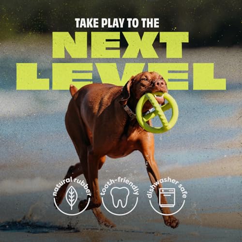 Benebone Natural Rubber Tug Interactive Dog Toy - size: One Size