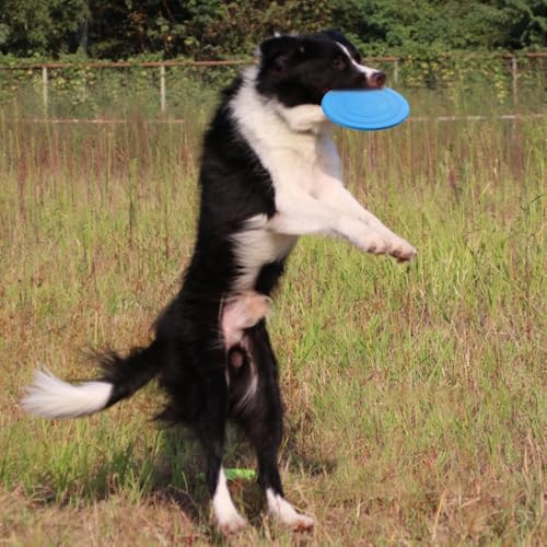 Durable Dog Flying Disc for Training 7-Inch Floating Interactive Pet Toy Soft Rubber Fetch Toy for Small and Medium Dogs (Orange)
