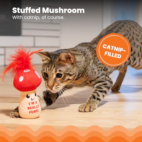 Catstages A Really Fungi Mushroom Interactive Cat Kicker Toy, 5" - color: Mushroom Kicker