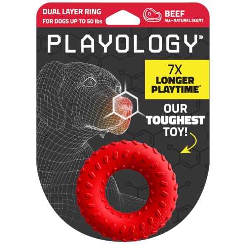 Playology Dual Layer Ring Dog Toy for Aggressive Chewers, Beef Scent - size: Medium, style: Beef
