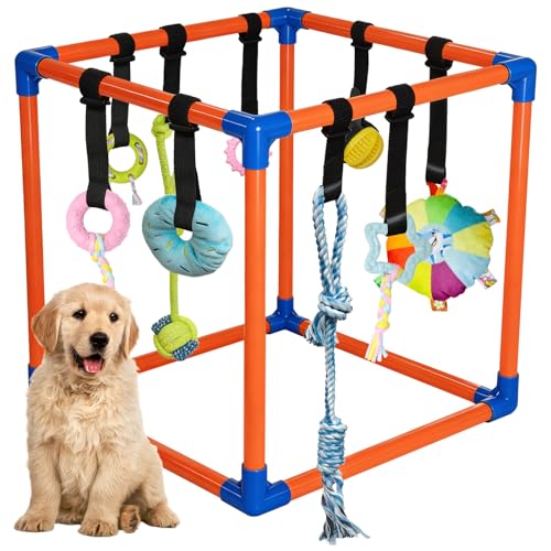 Puppy Play Gym with 9 Hanging Toys for Small Dogs, PVC Frame with Bungee Straps, Interactive Indoor Jungle Playground for Entertainment, Teething and Mental Stimulation - color: Orange, size: 9 Toys