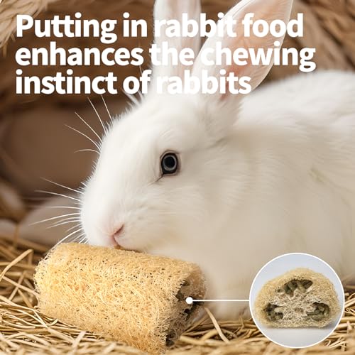 BESNEW 3 PCS Rabbit Chew Toys,100% Natural Loofah Without Additives,Bunny Chew Toys for Teeth,Fiber-Rich Rabbit Treats for Bunny Chinchilla Dogs - style: 3 ps