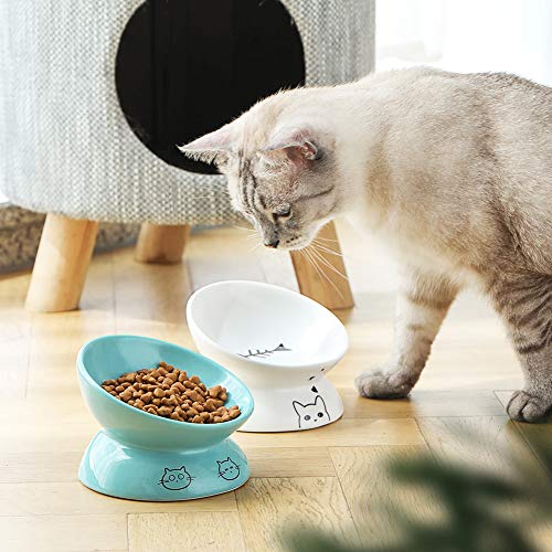 Sweejar Ceramic Raised Cat Bowls, Slanted Cat Dish Food or Water Bowls, Elevated Porcelain Pet Feeder Bowl Protect Cat's Spine, Stress Free, Backflow Prevention (Turquoise) - color: Turquoise, style: 5 Inch