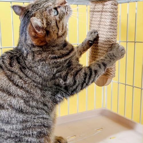 Cat Climbing Steps Scratching Tree - 2pcs Scratching Steps Sisal Hemp Cage Shelf Ladder Pets Perch Furniture Inside The cage with Install Screws (L) - size: L