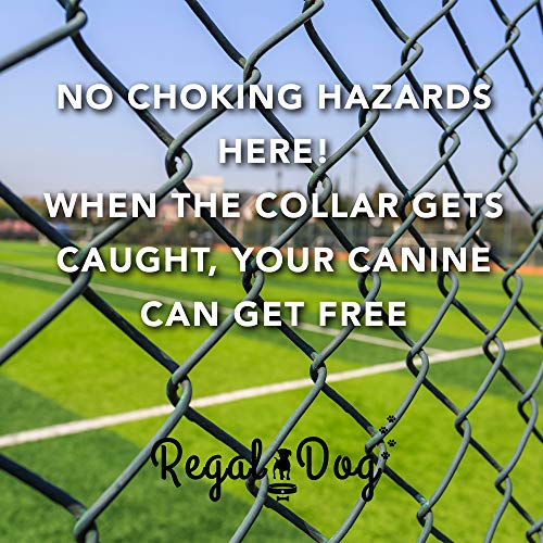 Regal Dog Products Reflective Dog Collar & Leash Set, Metal, Small Yellow - color: Yellow, size: Small Collar & Leash