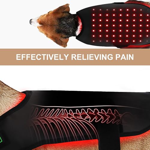 Red Light Therapy for Pets Back, 660nm 850nm Wavelength, Portable Wearable Infrared Light Device, for Dog, Cat Relieving Back Pain S Size - size: S Size