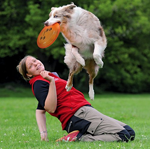 Trixie Dog Activity Dog Disc Bite-Proof, 23 cm- Random - size: MaÃ e: Ã¸ 23 cm