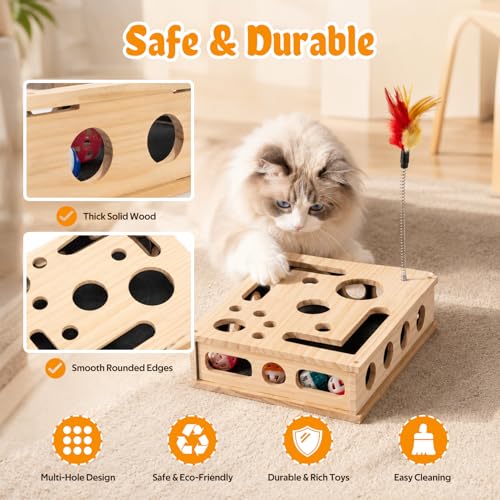 Cat Toys for Indoor Cats - Interactive Box Puzzle Toy Nail File Scratcher