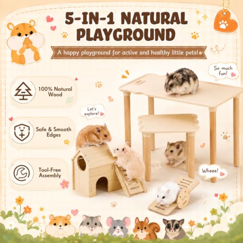 Novabright 5 Pcs Hamster Platform Playground Set, Wooden Hamster Hiding House Cage Accessories with Multi-Functional Platform, Seesaw, Ladder and Slide for Dwarf Syrian Hamsters, Gerbils, Mice