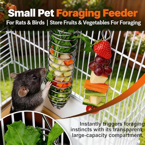 3Pcs Rat Enrichment Toys,Rat Toys for Pet Rats, Bird Food Holder,Parrot Foraging Stainless Steel Food Vegetable Holder Slow Feeder Rodent Cage Accessories