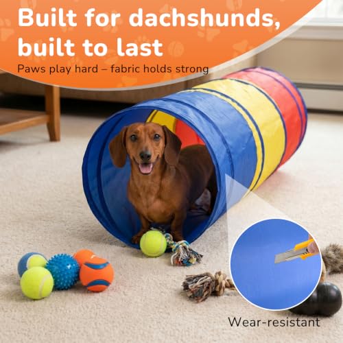 Dachshund Tunnel, Dog Tunnel, Foldable Crawl for Dog Training