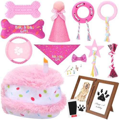 Gemscream 14 Pcs Dog Birthday Toy Gifts Dog Birthday Cake Puppy Interactive Squeak Toys Decorations for Small and Medium Dogs Supplies(Pink) - color: Pink