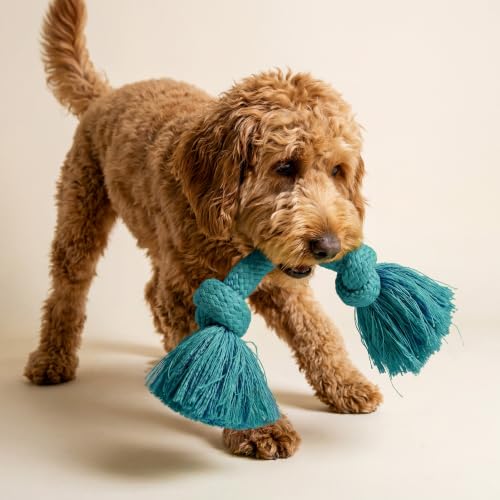 Playology Tug Rope Dog Toys for Medium Dogs - Medium, Peanut Butter Scent - size: Medium, style: Peanut Butter