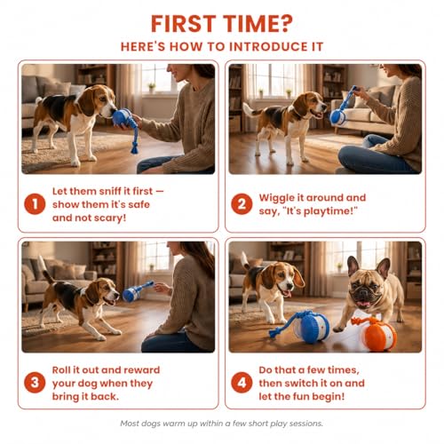 (2 Pack) Interactive Dog Toys for Small Dogs — Boredom Relief & Indoor Enrichment, Automatic Rolling Ball with Rope, Motion Activated Self Moving Dog Toy (Blue + Orange)
