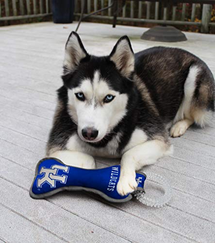 Pets First NCAA Kentucky Wildcats Dental Dog TUG Toy with Squeaker. Tough PET Toy for Healthy Fun, Teething & Cleaning Pets Teeth & Gum - color: Kentucky Wildcats