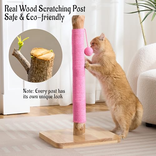 29" Tall Solid Wood Cat Scratching Post for Indoor Cats, Extra Stable Heavy Base, Natural Sisal Scratcher with Hanging Ball, Furniture Protector for Kittens & Adult Cats, Pink - color: Pink