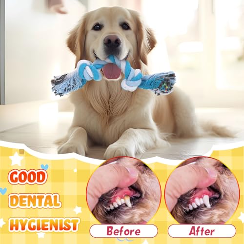 Hiboom 24 Pcs Dog Rope Toys Bulk Multi Color Puppy Chew Rope Cotton Teething Toys 2 Knot Tug for Aggressive Chewers Small and Medium Dogs Puppies