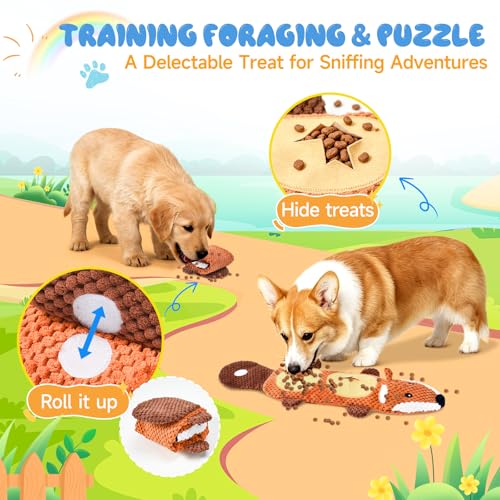 wodoca Dog Toys for Aggressive Chewers 2 Pack, No Stuffing Squeaky Chew Toy for Small Medium Breed, Puppy Teething Interactive Dog Toys to Keep Them Busy