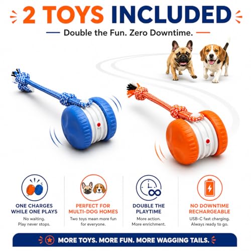(2 Pack) Interactive Dog Toys for Small Dogs — Boredom Relief & Indoor Enrichment, Automatic Rolling Ball with Rope, Motion Activated Self Moving Dog Toy (Blue + Orange)