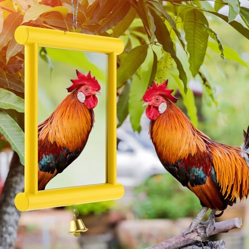 Sadnyy Extra Large Chicken Mirror Toy for Coop Square Double Side Mirror - color: Yellow, size: Square