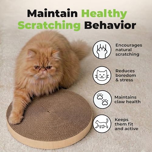 Catify Spin n' Scratch Cat Scratch Pad Refill - Round, 5-Pack - color: Round (5 Pack)
