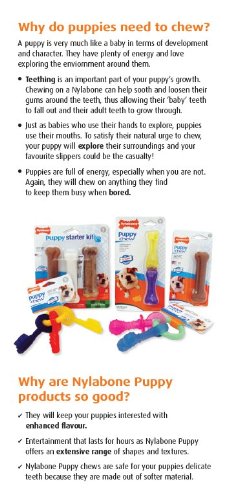 Nylabone Flexi Chew Small Dog Value Pack Dog Toys with Chew Treat, 3 Count - size: X-Small