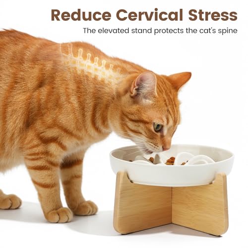 PETTOM Slow Feeder Cat Bowl Elevated Ceramic with Bamboo Stand, Lotus - color: Lotus