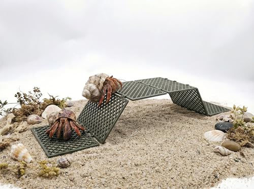Hermit Crab Climbing Platform, Foldable Habitat Ladder - color: Military green