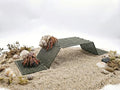 Hermit Crab Climbing Platform, Foldable Habitat Ladder - color: Military green
