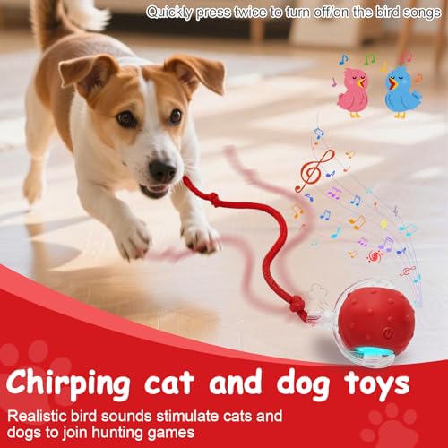 Interactive Cat Toys Smart Ball for Cats & Dogs! Now with 2 Rapid Tails. Features: 360°Auto-Rolling, Motion Activation& Bird Sounds. Perfect for Indoor Pet Exercise & Fun. (Red＆Blue) - color: Red＆Blue