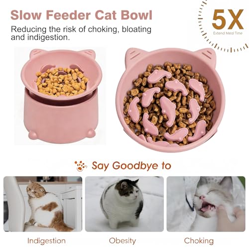 Raised Slow Feeder Cat Bowl, Silicone Elevated Tilted Cat Slow Feeder Bowl - color: Peachy Pink