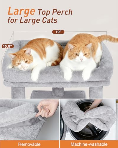 23.6" Cat Tree for Large Cat, 19 * 15.8 in Large Perch, Light Gray - color: Light Gray
