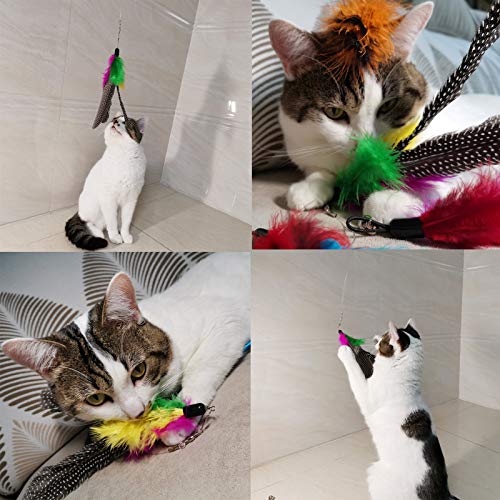 Cat Feather Toys Refills, 10 Pieces Worms Feathers Refills, Cat Wand Replacement Feathers Toy for Indoor Cats - color: Style-A