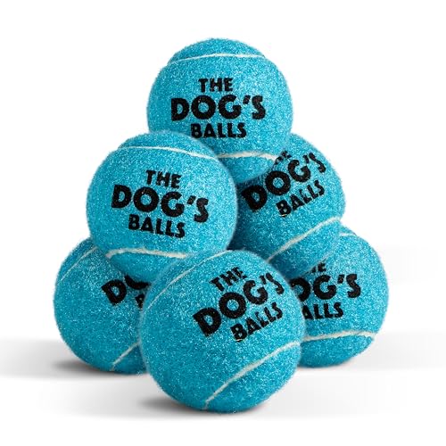 The Little Dog’s Balls Small Dog Tennis Balls 6-Pack Blue Floats in Water - color: Blue, size: 6 Small Tennis Balls