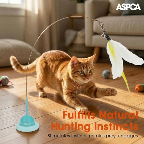 ASPCA Suction Cup Cat Toy Interactive Wand, Self Play Cat Toy for Indoor Cats, Attaches to Smooth Surfaces, Teaser Wand for Chasing, Batting & Enrichment, Blue - color: Blue