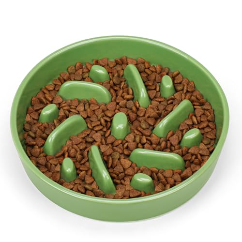 Ceramic Slow Feeder Dog Bowl, 2 Cups Maze Puzzle Dish to Slow Down Eating - color: Maze - Green