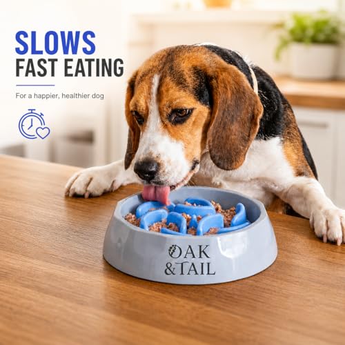 Slow Feeder Dog Bowl – Anti-Gulping Puzzle Feeder for Dogs, Slow Eating Dog Bowl with Removable Silicone Insert, Non-Slip, BPA-Free, for Small & Medium Dogs (Blue)