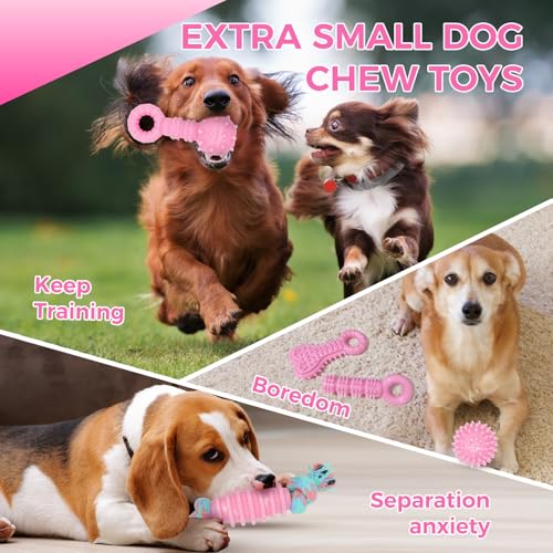 Puppy Toys, 9 Pack Dog Chew Toys, Teething Toys for Small Dogs, Pink - color: Pink, size: X-Small（9Pack）