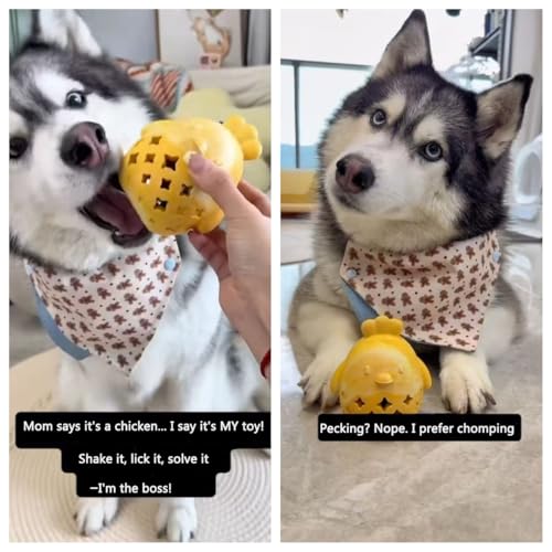 MewaJump Dog Toy Treat Food Dispenser Puzzle Rubber Chew Toys Stuffed Ball - color: yellow hen