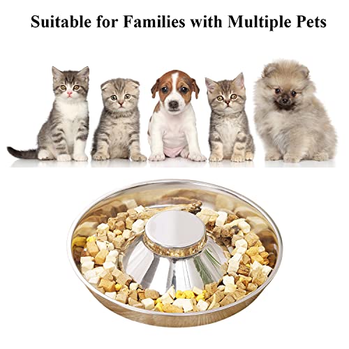 Stainless Steel Pet Bowl for Puppy and Cat, Dog Food and Water Feeding Bowl, Puppies and Kittens Weaning Bowls, Multiple Dogs and Cats Eat and Drink Together (1PC, M) - size: M - 5¼cups/42oz