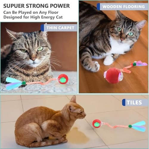 2 Packs Speed 2.0 Tail Interactive Cat Toys for Indoor Cats, Moving Cat Toy - color: Red+Blue