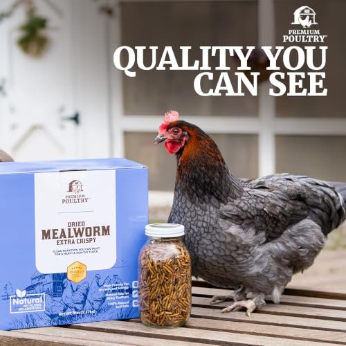 Mealworms for Chickens & Wild Birds,10 Lb - size: 10lb, style: Meal Worms