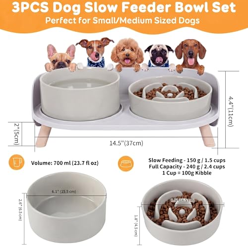 Elevated Slow Feeder Dog Bowls with Splash Proof Stand, Slow Eating 5X - color: Grey