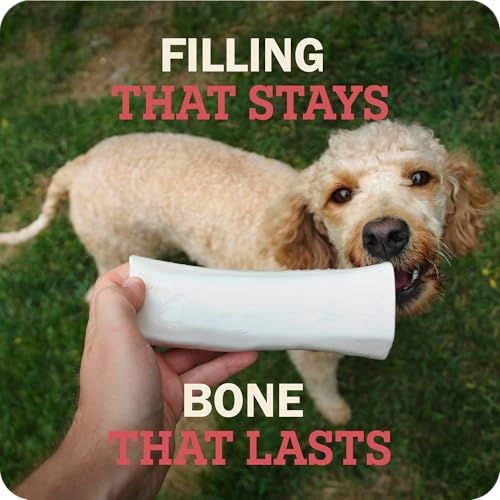 Redbarn Pet Products Large Filled Dog Bones, Cheese & Bacon Flavor - Long Lasting Stuffed Femur Chew Treat Made in USA - 4 Count - Packaging May Vary (Pack of 3) - size: 4 Count (Pack of 3)