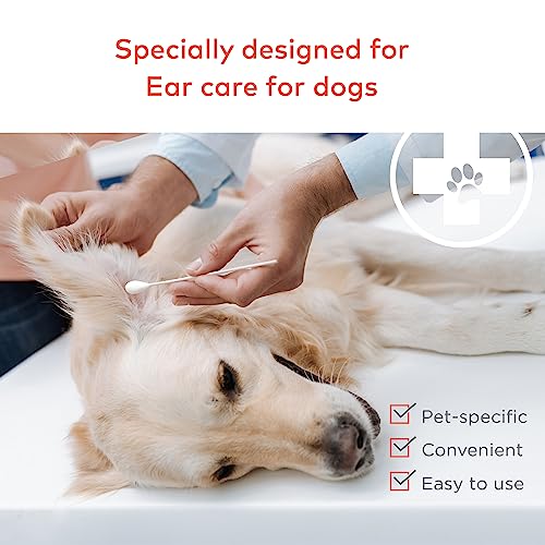 ARCA PET Cotton Swabs for Dogs and Cats - Cat & Dog Ear Cleaner Long Cotton Swab - Extra Large Cotton Head, Cat & Dog Ear Cleaning Kit for Puppies, Multipurpose Pet Cotton Swabs (Extra Large 100 Buds) - size: Extra Large 100 Buds