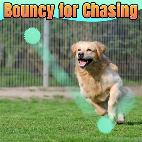 LECHONG 6-Pack Glow in The Dark Squeaky Dog Balls, 3.5” Spiky Dog Toy Balls, Durable Glowing Rubber Fetching Ball for Medium & Large Dogs Nighttime Playing Indoors & Outdoors - size: Medium-6 Packs