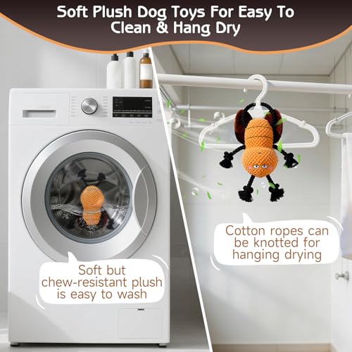 Yipetor Cockroach Squeaky Dog Toy, Puppy Rope Chew Toy for Medium Dogs - style: Modern